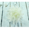 Kwiat waflowy aster biały 1 sztuka